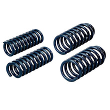 Load image into Gallery viewer, Hotchkis 08-09 Challenger SRT8 / 09 Challenger RT Sport Coil Springs