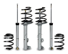 Load image into Gallery viewer, Photo - Primary