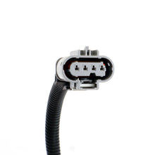Load image into Gallery viewer, BBK 16-20 GM Camaro 6.2L SS Manual Trans O2 Sensor Wire Harness Extensions (Rear)