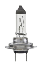 Load image into Gallery viewer, Hella High Wattage Bulb H7 12V 100W PX26d T4.6 (Pair)