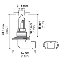 Load image into Gallery viewer, Hella 9005 12V 65W Xen White Bulb (Pair)